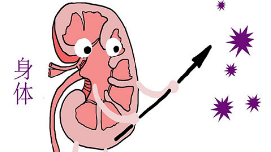 治疗期间病人不要吃辛辣刺激的食物,比如辣椒、胡椒、芥末等 治疗期间病人不要吃辛辣刺激的食物,比如辣椒、胡椒、芥末等