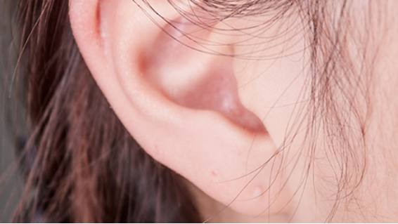 左耳乳突的准确位置图图片