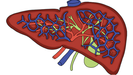 虽然慢性肝炎病情发展的比较慢，但是在医学上也会被分成轻度、中度和重度三种情况