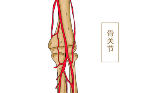 一般良性的肿瘤长大的速度会特别的慢，而且体积也不大