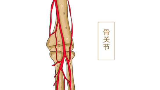 　胫腓骨骨折一般通过积极的治疗可以达到痊愈的状态