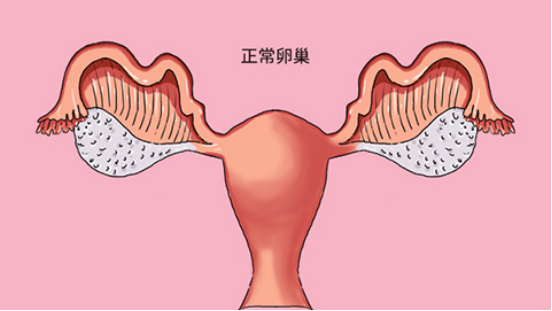 卵巢发育不良有什么症状