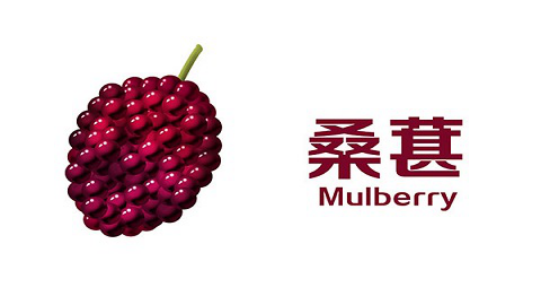 桑葚不仅可以直接吃，还可以用来泡茶喝