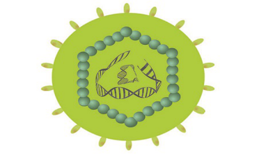 患筋膜炎怎么治疗
