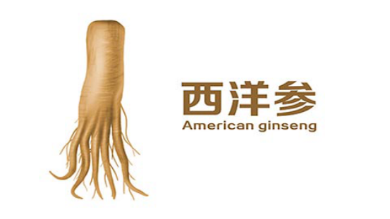 从中医的角度来看，西洋参的属性是温和的，大多数都是可以食用的