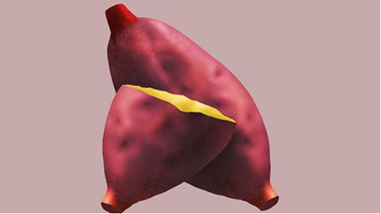 其实是可以适量吃烤红薯的，烤过的红薯容易消化