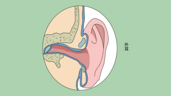 外耳道炎是一种感染性疾病，病因除了病原体的直接清洗之外