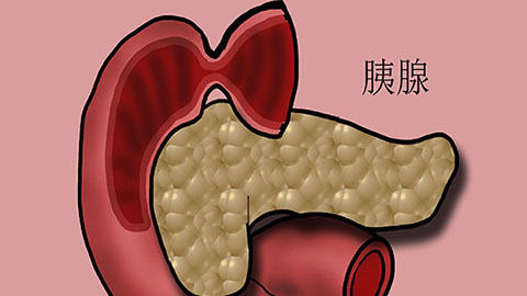 胰腺炎的症狀及治療有哪些