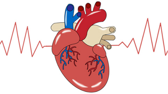 患者心脏出现一些问题的时候，也会心跳过快