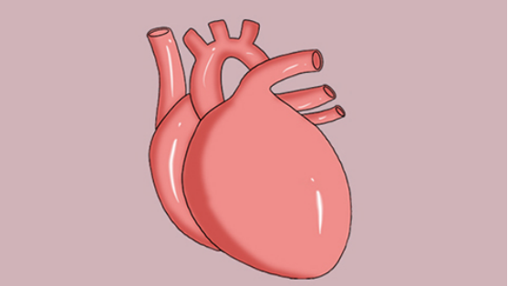 大家可以用手捂住胸口，简单的感受一下心跳的速度