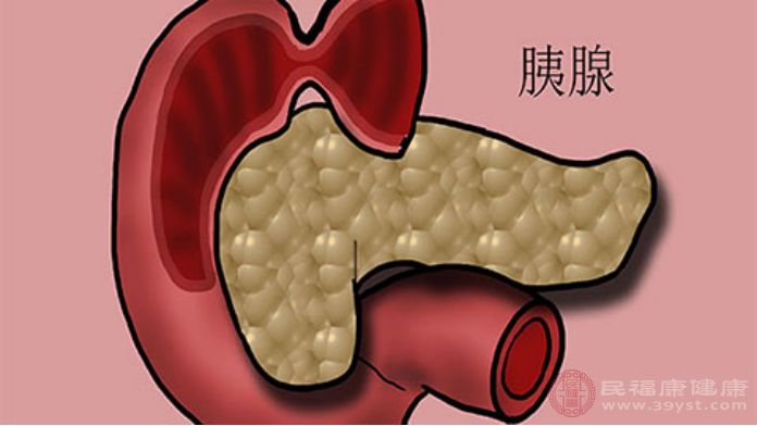 胰头部图片