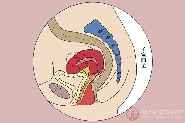 胚胎移植成功后,也就说明受孕成功,就会和正常怀孕的女性一样