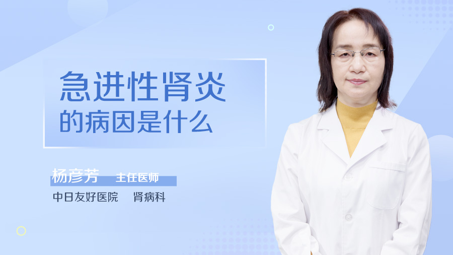 急进性肾炎的病因是什么