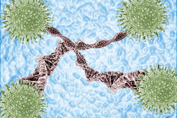 有因必有果:HPV感染是怎么来的