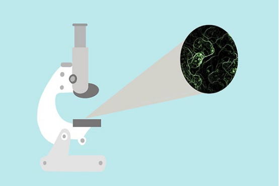 大家也不了解HPV它的实际危害到底有哪些 大家也不了解HPV它的实际危害到底有哪些