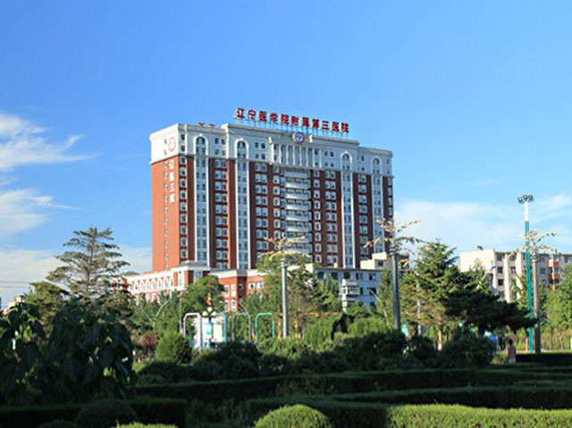 锦州医科大学附属第三医院