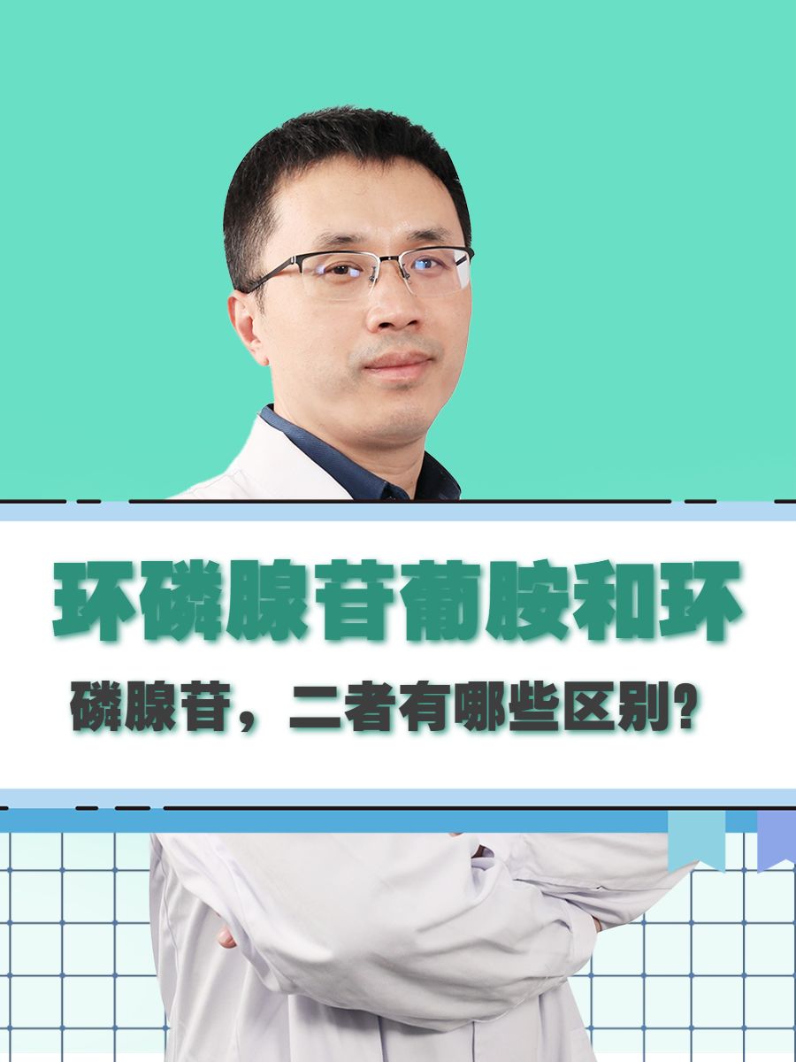 环磷腺苷葡胺和环磷腺苷，二者有哪些区别？