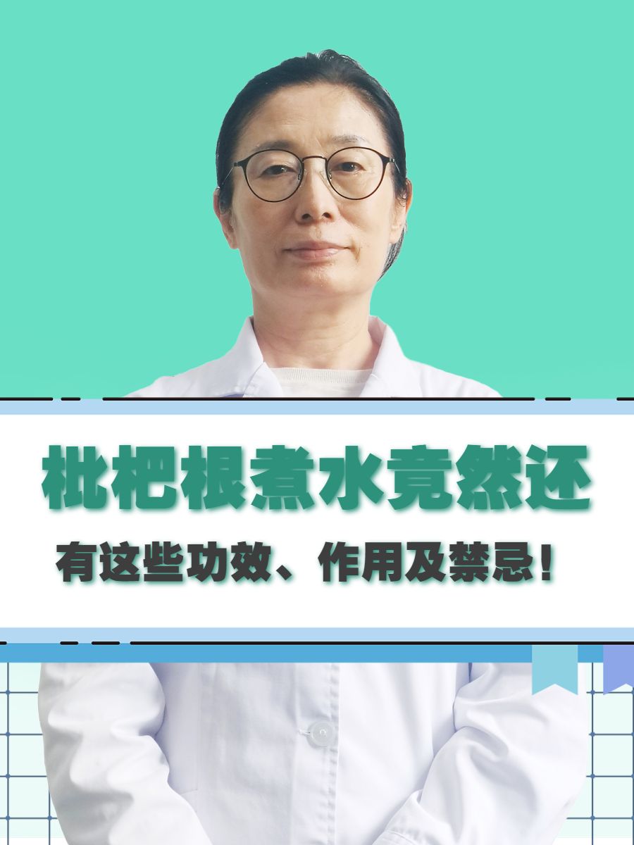 枇杷根煮水竟然还有这些功效、作用及禁忌！